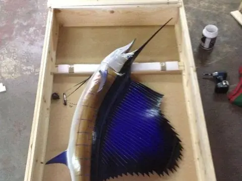 A mounted sailfish secured inside a custom wooden crate
